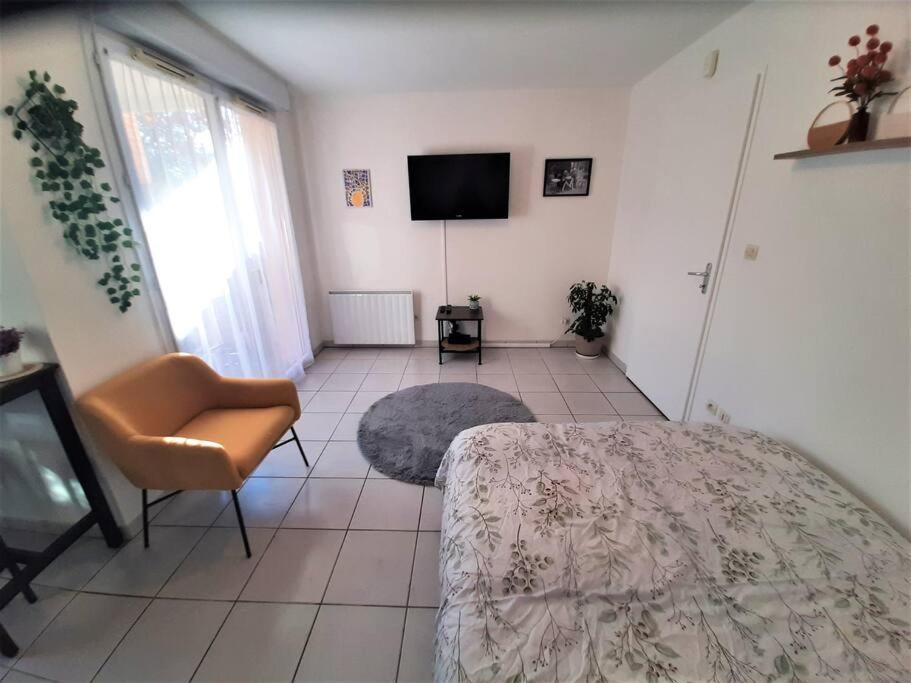 Studio Charmant Et Moderne Grand Confort Тулуза Екстериор снимка